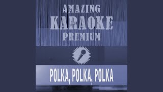 Polka Polka Polka Single Edit Premium Karaoke Version Originally Performed By Brings [upl. by Georgine]