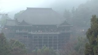 京都 清水寺に薄い靄がかかった時に八坂神社～清水寺境内を歩いて撮影 Kiyomizu Temple in the thin haze Kyoto [upl. by Fagen]