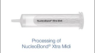 Processing of NucleoBond Xtra Midi [upl. by Lamahj]