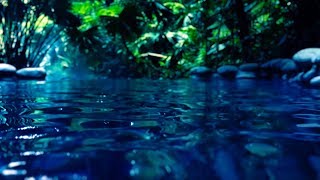 Water Sounds for Sleep or Focus  White Noise Stream 10 Hours [upl. by Juieta]