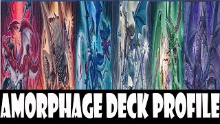 YGOPRO Amorphage Deck Profile  DeckList Jan2016 [upl. by Shayn]