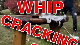 What is whip cracking [upl. by Sherurd306]