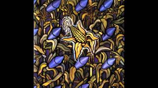 Bad Religion  Against The Grain Full Album [upl. by Eliot]