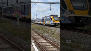 treinleven SNG met graffiti vertrekt van Schiedam centrum [upl. by Netsreik780]