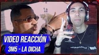 VIDEO REACCIÓN  3M5  LA DICHA quotQUIERO UN HUERTO DE BILLETES VERDESquot [upl. by Sadye]