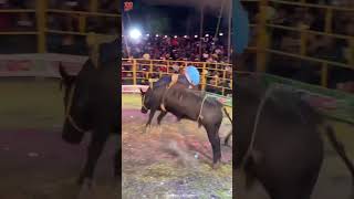 Que buena monta de grapa un gran espectáculo 👏🤠 jaripeo [upl. by Mali261]