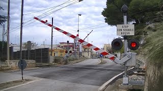 Spoorwegovergang Turi I  Railroad crossing  Passaggio a livello [upl. by Jacinto]