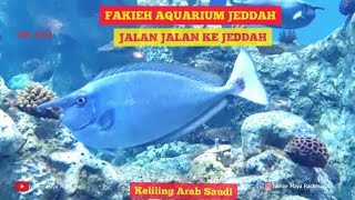 FAKIEH AQUARIUM JEDDAH [upl. by Stevana]