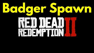 4 American Badger location RDR2 [upl. by Sandry894]