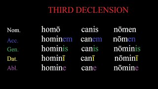 The Third Declension in Latin Made Simple  Easy Latin Grammar Lessons [upl. by Ainud]