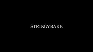 STRINGYBARK  Full Movie HD [upl. by Rodenhouse525]