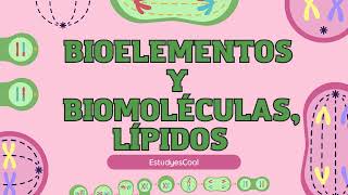 Bioelementos y Biomoléculas Descubre el Mundo de los Lípidos 🌱🔬 [upl. by Naor]