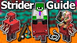 Ultimate Minecraft 120 Strider Guide  How To Ride Striders Fast Breeding Warped Fungus [upl. by Davis]