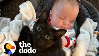 Kitten Gets Caught On Baby Cam Sneaking Into Her Sisters Crib For A Snuggle  The Dodo Soulmates [upl. by Assennej574]