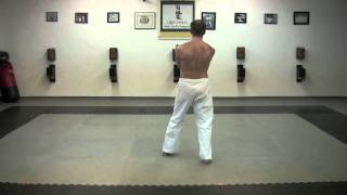 Uechi Ryu Sanchin Kata by Master Ryan Dean [upl. by Tonry]