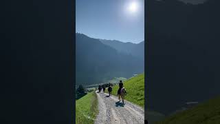 Wanderritt auf die Alm [upl. by Trainer]