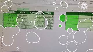 TIPOS DE FORMATOS EN EXCEL [upl. by Gillette]