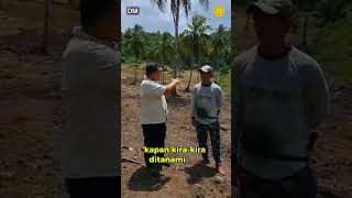 Tim Satgas Darurat Pangan Kementan terus menggenjot Penambahan Areal Tanam [upl. by Ecnarrat898]