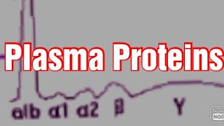 Plasma Proteins Biochemistry Albumin Globulins  Fibrinogen [upl. by Braynard557]