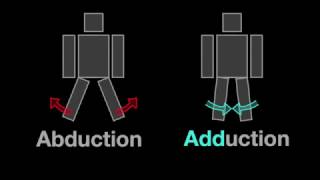 Arm Muscles 34 Abduction vs Adduction [upl. by Neill]