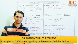 GPCR Receptors signaling molecule and Cellular Action  GPCR Mnemonics [upl. by Gorey]