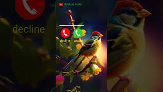 New call ringtone 2024  hindi ringtone 2024 trending Ringtone love ringtone song mobile ringtone [upl. by Octavus]