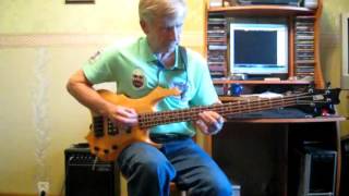 Christie  yellow river бас bass cover [upl. by Pegg]