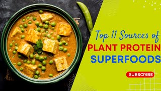 Top 11 Sources of Plant Protein  Superfoods [upl. by Duthie]