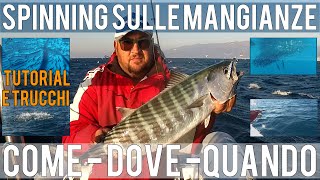 Spinning sulle mangianze Come dove e quando  la pesca di palamite e tombarelli con Stefano Adami [upl. by Venn]