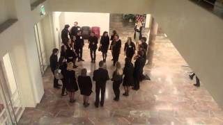 Lobby Concert of the quotChor der TU Wienquot [upl. by Wiltsey]