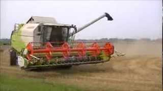 Wheat Harvest 2013 Claas Tucano 450 [upl. by Dnomrej]