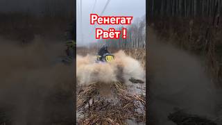 Какая резина у него  квадроцикл atv offroad canam brp renegade1000 [upl. by Alleris]