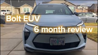 Bolt EUV 6 month review [upl. by Rosina]