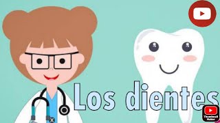 Conoce todos sobre tus DIENTES 🦷🦷🦷🦷🦷VIDEO EDUCATIVO [upl. by Airolg]