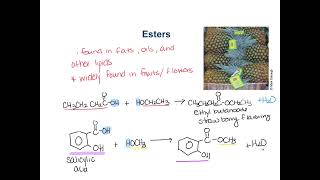 Ch15 Ester Formation and Naming Esters [upl. by Tiffa967]