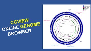 Bioinformatics for Beginners  Course  Genome visualization using the online CGView tool [upl. by Narut]