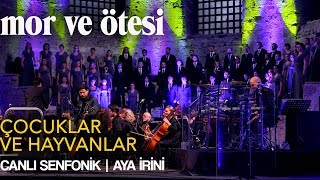 mor ve ötesi  Çocuklar ve Hayvanlar Canlı Senfonik  Aya İrini  Official Video [upl. by Jun370]