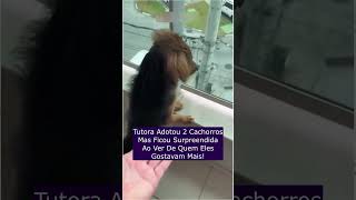 Tutora Adotou 2 Cachorros Mas Ficou Surpreendida Ao Ver De Quem Eles Gostavam Mais [upl. by Somerset]