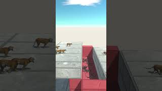 Crazy Tigers RACE animalrevoltbattlesimulator gaming arbs [upl. by Jahdiel]