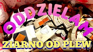 ODDZIELAM ZIARNO OD PLEW [upl. by Najed28]