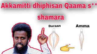 Qaama saalaa shamara dhiphisuuf dawaa tana fayadami [upl. by Glantz]