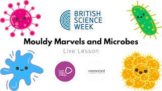 British Science Week 2024 Mouldy Marvels and Microbes [upl. by Elletnuahs]