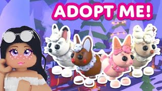 New adopt me Christmas update week 3 Roblox￼ [upl. by Seleta]