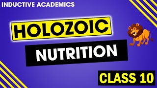 What is Holozoic Nutrition  Steps in Holozoic nutrition  What is Heterotrophic nutrition [upl. by Llenrev]