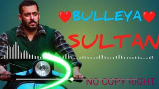 Bulleya song sultan  Bulleya Lofi Song  Sultan movie salmankhan sultan [upl. by Dione]