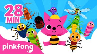 Chansons des Insectes pour les Petits  Comptines  Pinkfong Bébé Requin  Chansons pour Enfants [upl. by Wilhelmina240]