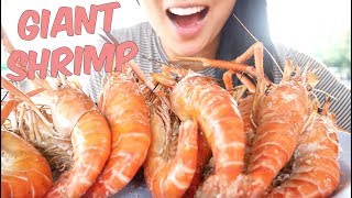 Grill Giant Prawns MUKBANG Lets Eat  SASASMR [upl. by Yerrok]