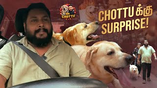 Chottuக்கு வாழ்வு தான் 😂  Vlog 5  MrChottu [upl. by Oinotnaesoj318]