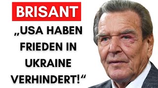 Schröder Darum sind FriedensVerhandlungen gescheitert [upl. by Sadella]