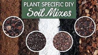 The Perfect Soil by Plant Type  Custom Soil Mix  Houseplant Soil Mix [upl. by Erie557]